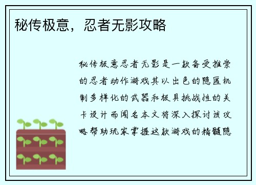 秘传极意，忍者无影攻略